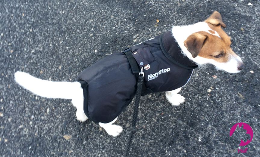 Outdoorová zimní bunda pro psy Non-stop Pro Warm_1
